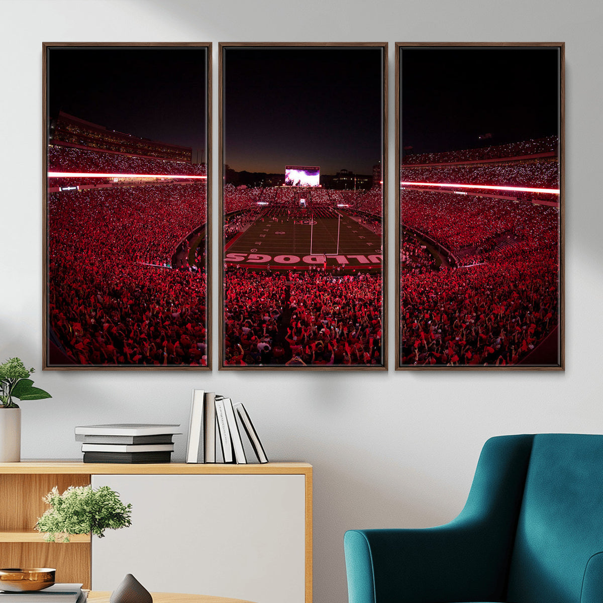 38331045-MGV-CV-36X24 - Dooley Stadium Wall Art, Sports Arena Canvas Print, Dooley Field Sanford Stadium