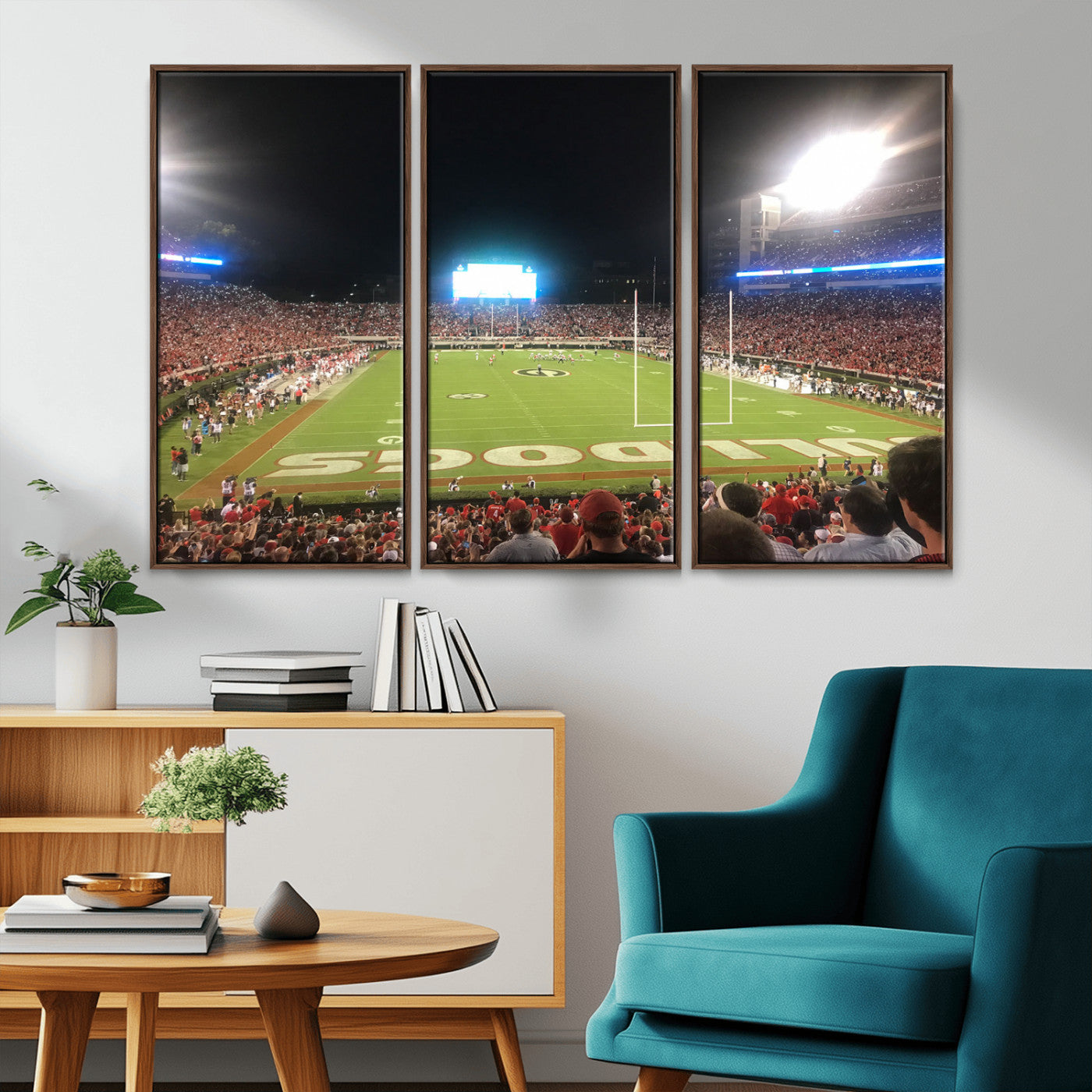 Dooley Stadium Wall Art Print, Sports Arena Canvas Wall Art, Panoramic Stadium Canvas Print, Modern Athletic Field Art Printing