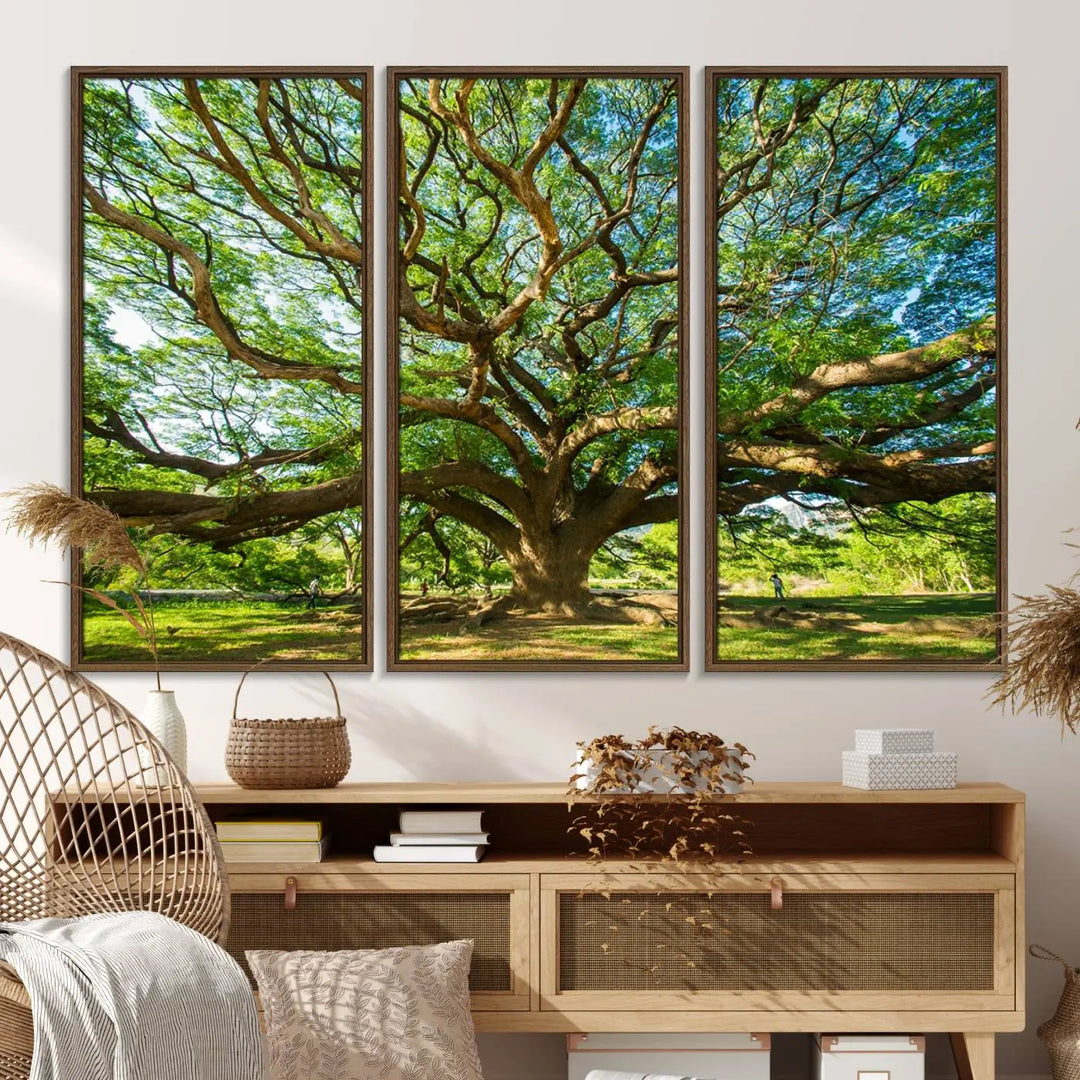 The Angel Oak Tree Wall Art, a multi-panel canvas print showcasing a large tree with sprawling branches and green leaves in a style reminiscent of the majestic Angel Oak Tree, elegantly adorns the wooden wall in the living room.