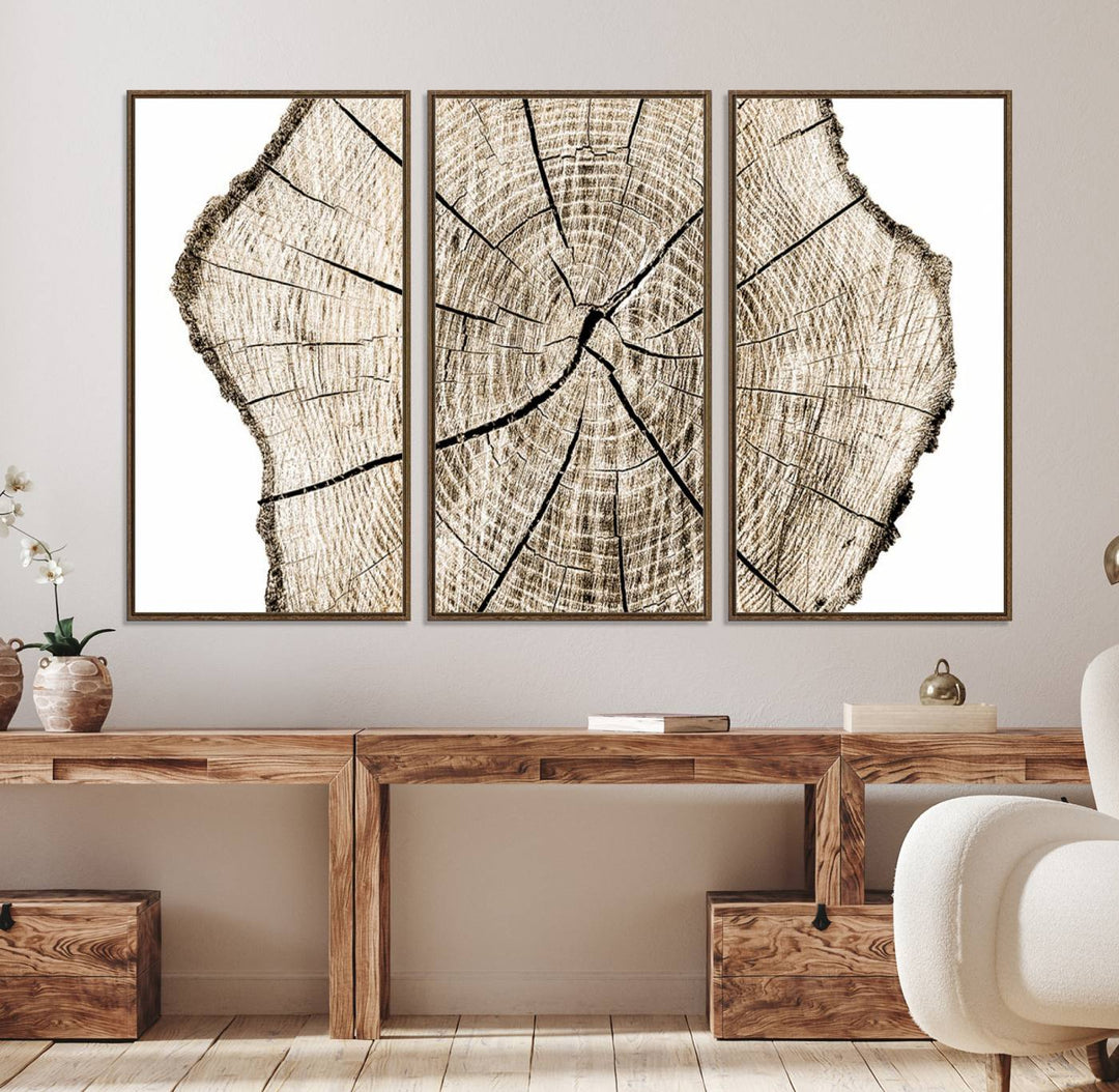 The Abstract Wood Tree Ring Wall Art set of 3 adds a minimalist touch to the space.