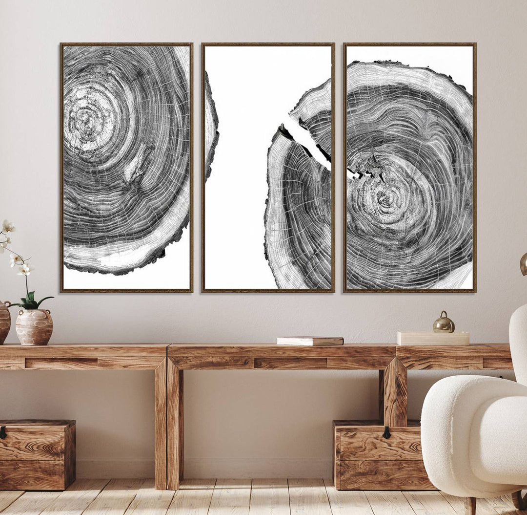 The modern black and white tree rings canvas art adds minimalist geometric decor with nature inspiration.