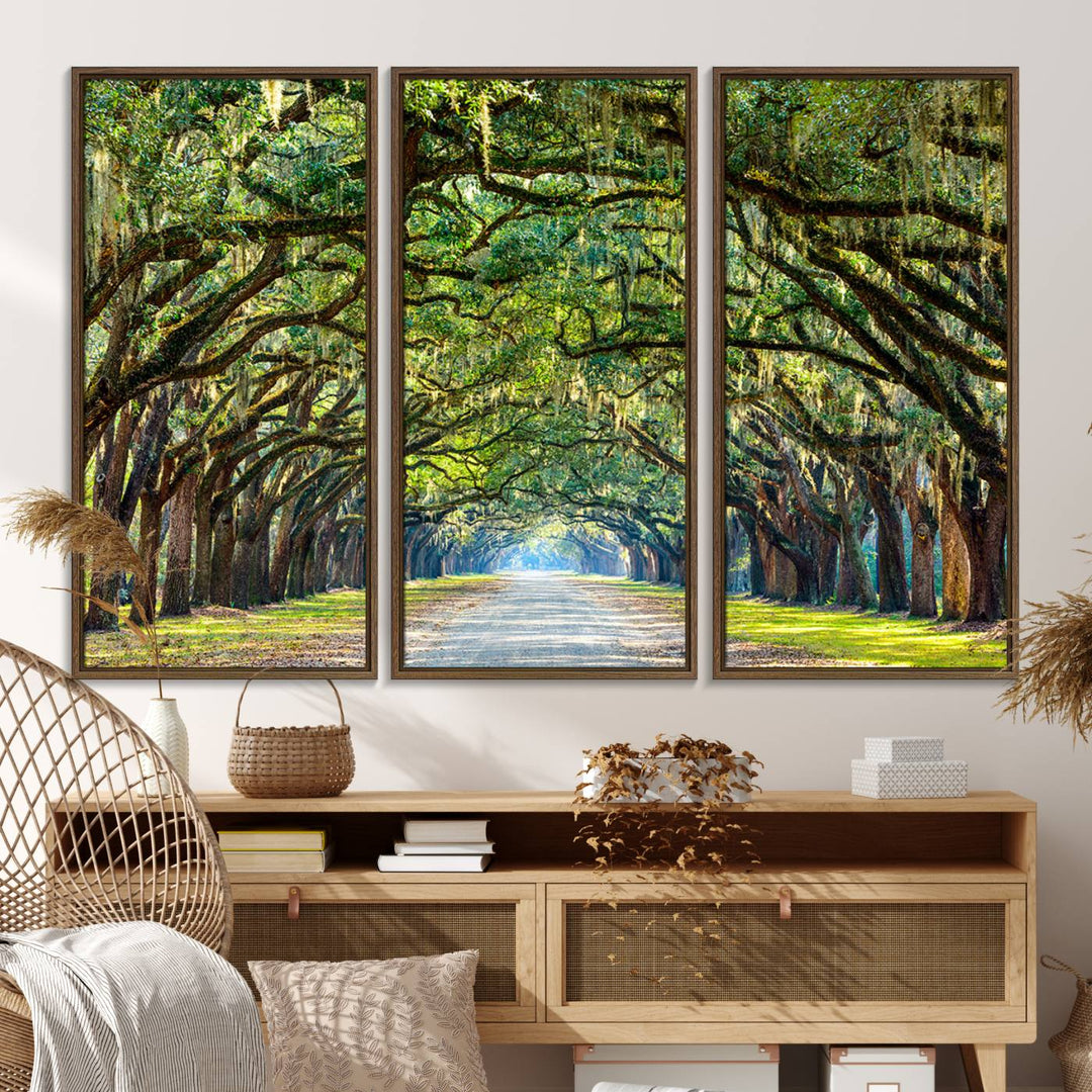 Wormsloe State Plantation Driveway Wall Art shines with Southern charm.