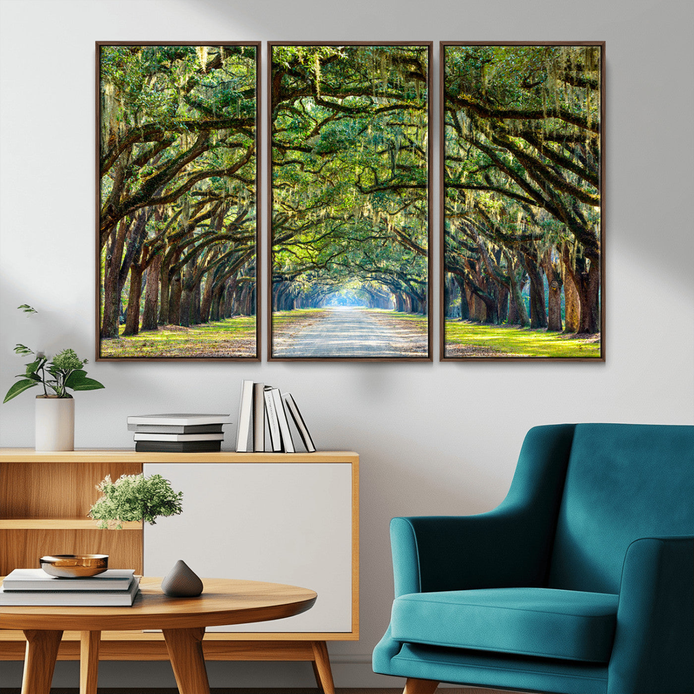 MGV-FC-48X32-3P - Wormsloe State Plantation Driveway Wall Art Canvas Print