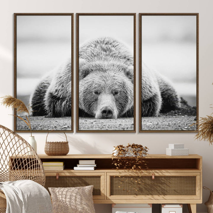 Resting Grizzly Bear wall art displayed in a modern room.