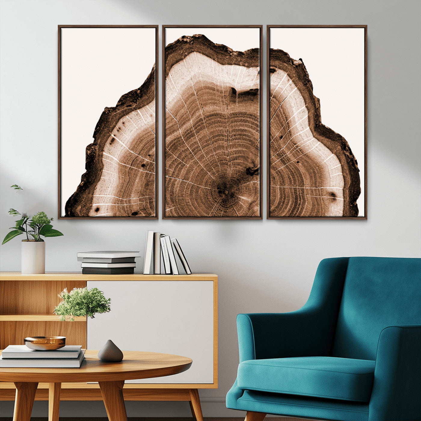 45195-MGV-CV-36X24-Rustic Wood Rings Wall Art | Nature-Inspired Tree Ring Canvas Print | Ready to Hang and Framed for
