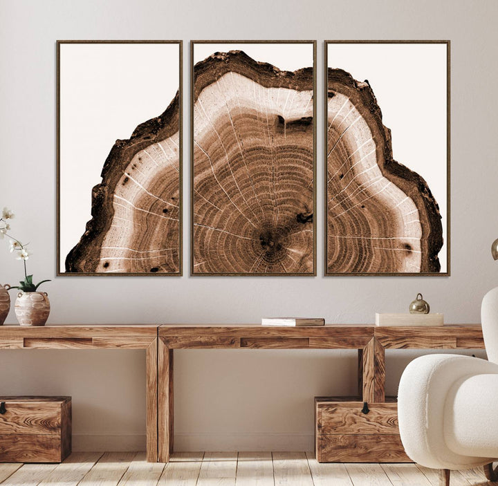 Close-up of the Rustic Wood Rings Wall Art featuring detailed tree rings and natural texture on a plain white background.