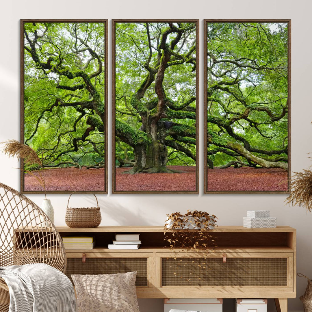 Framed Angel Oak Tree Wall Art: Large 3-panel green nature canvas, ready to hang.