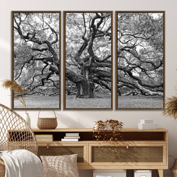 The Black White Angel Oak Tree wall art adds timeless, nature-inspired decor.