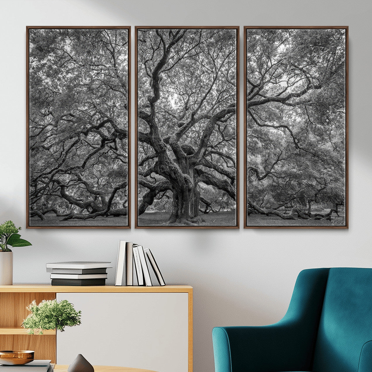 97240-MGV-CV-36X24 - Large Angel Oak Tree Black and White Canvas Print