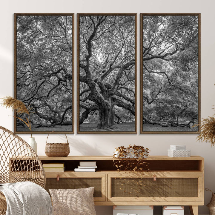 The Majestic Angel Oak Tree canvas print enhances minimalistic decor with its nature photography.