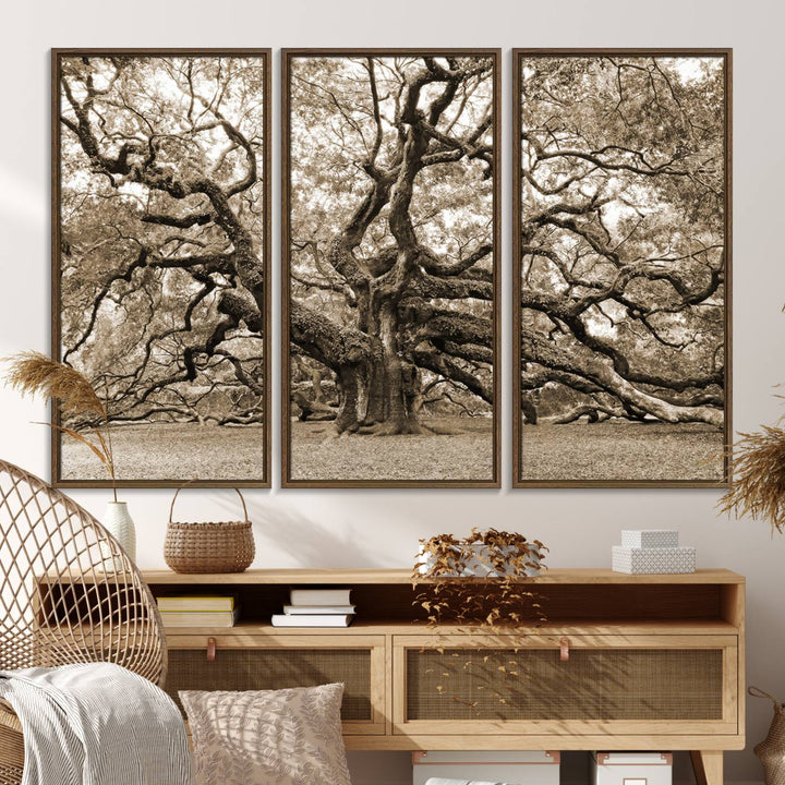 Displayed on the wall is a Sepia-framed Angel Oak Tree 3-panel canvas.