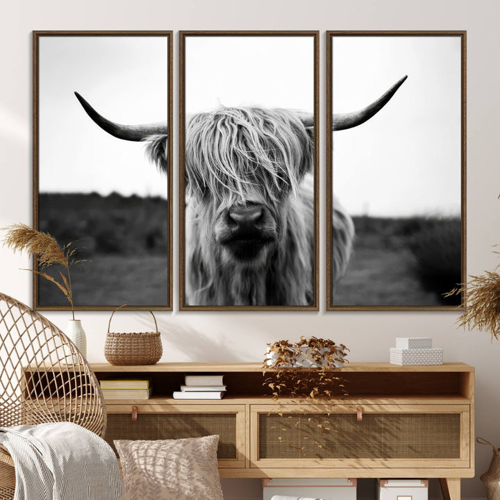 The Highland Cow Wall Art, a black and white farmhouse decor piece showcased as a triptych canvas print, graces a dark wall with its long-haired Scottish Highland cattle art print exuding rustic barn aesthetic.