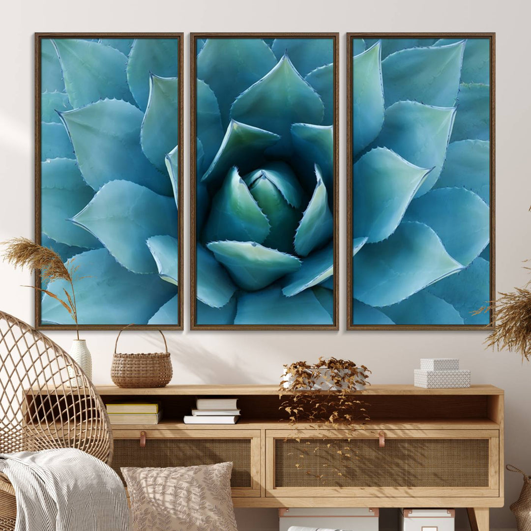 The Large Agave Succulent Canvas Wall Art is displayed on the wall.