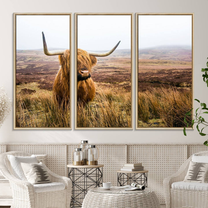 A ready-to-hang Scottish Highland Cow Cattle Canvas Wall Art.