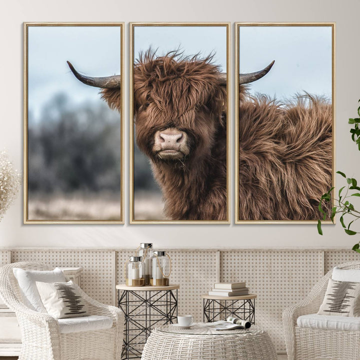 Fluffy Highland Cow Wall Art Canvas Print.