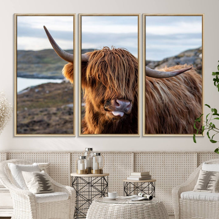 The Cuddly Highland Cow Canvas hangs, adding charm with its shaggy elegance.