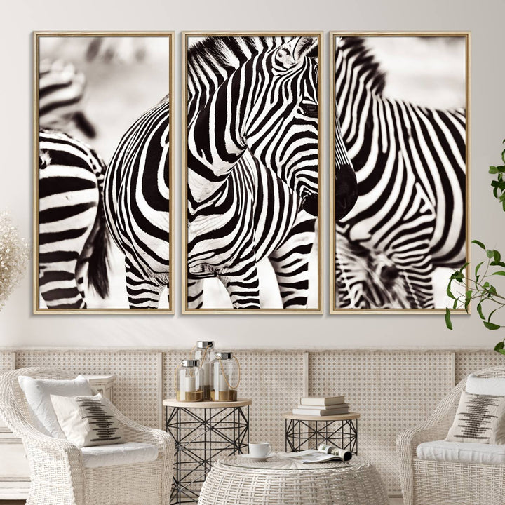 The Brilliant Zebra Photography Art Canvas Print hangs prominently on the wall.