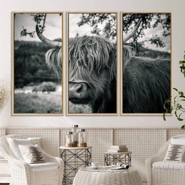 The Highland Cow Wall Art Canvas Print is displayed.