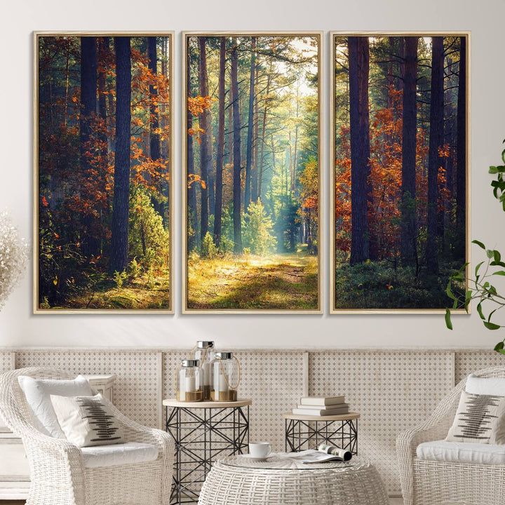 The Dark Forest canvas wall art showcases a captivating forest landscape.