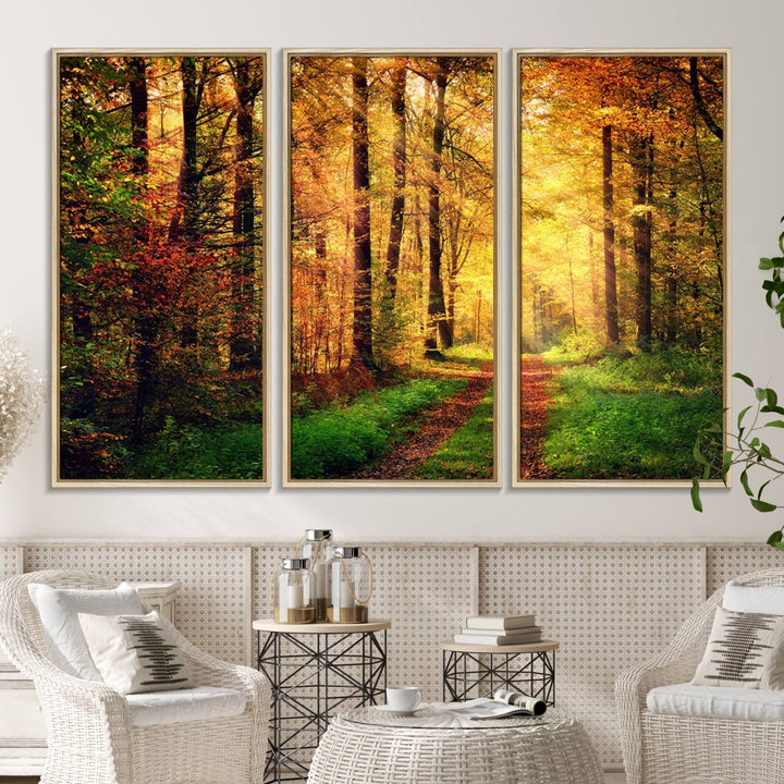 The Sunlight Through Trees Wall Art Canvas Print showcases a sunlit autumn forest and includes UV protection to ensure lasting vibrance.