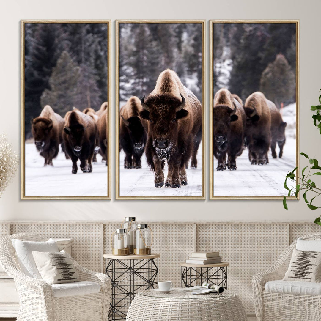 Bison Herd Canvas Wall Art.