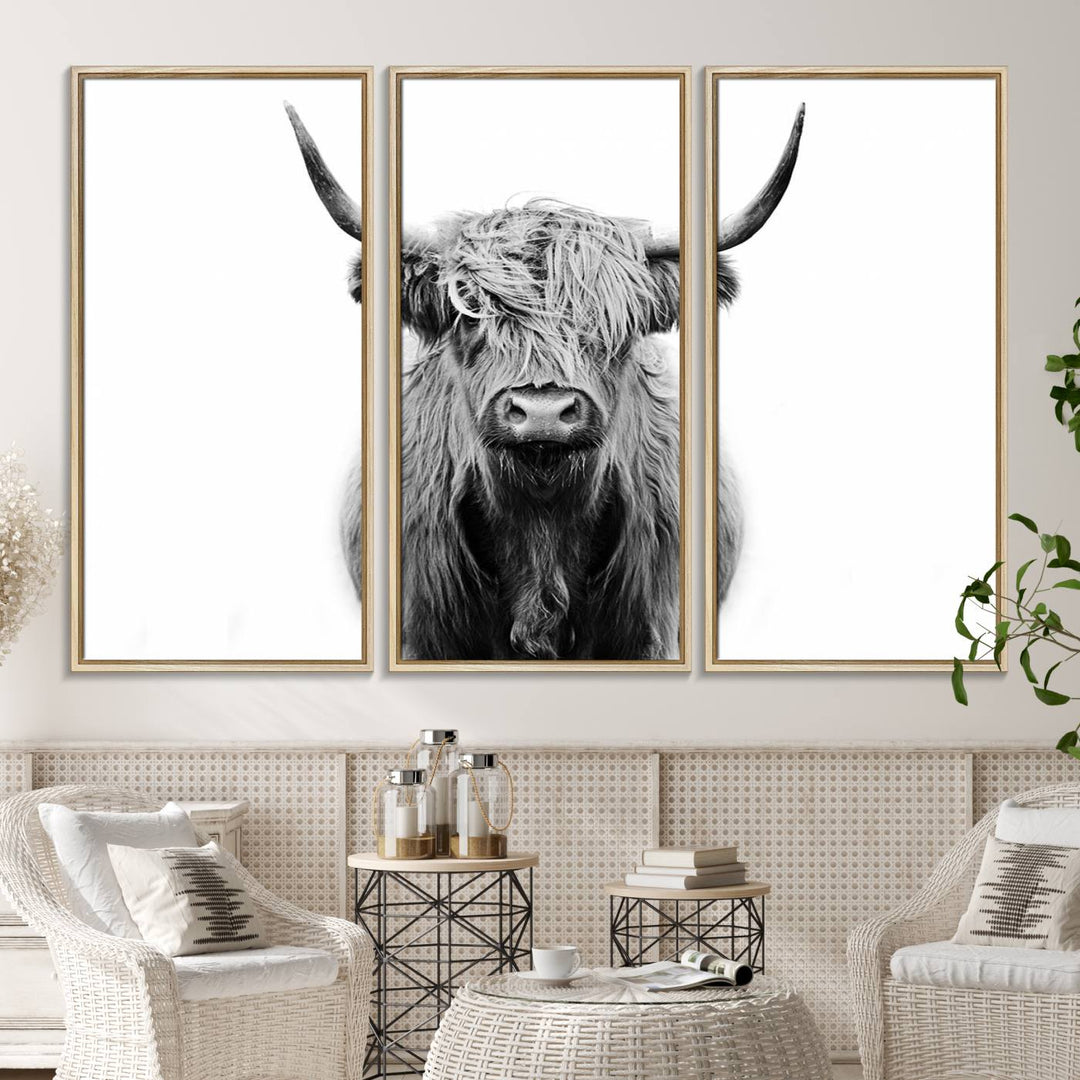 Highland Cow Canvas hanging prominently.