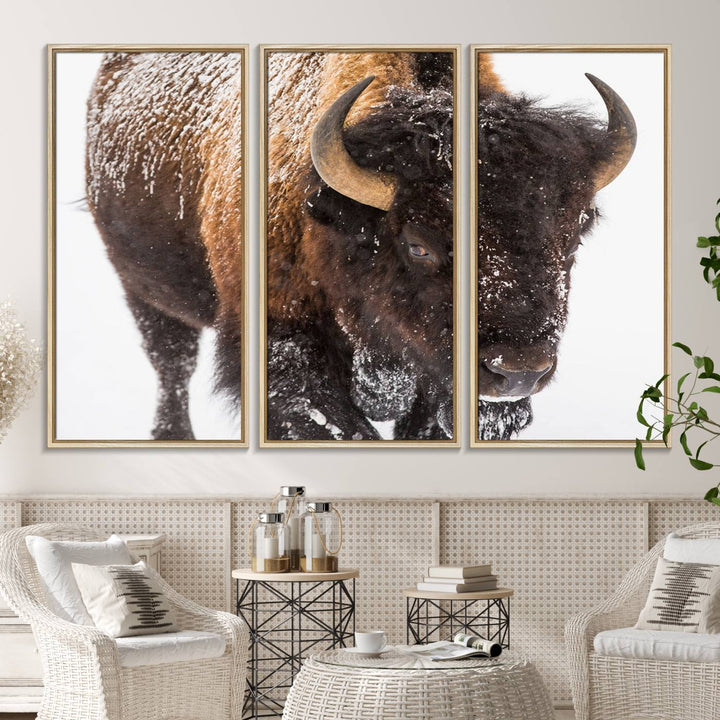 Bison Wall Art Canvas.