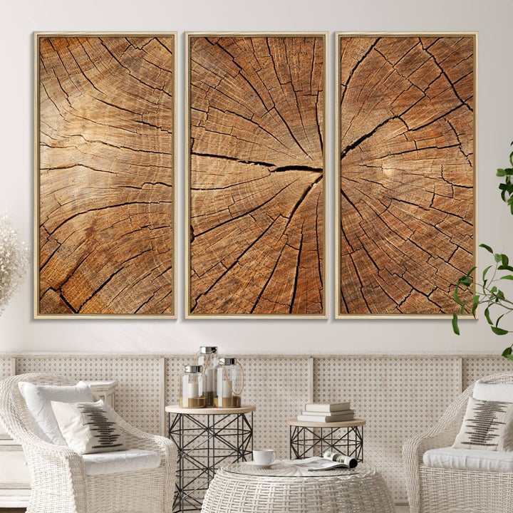 Tree Ring Canvas Art decorates a textured wall.