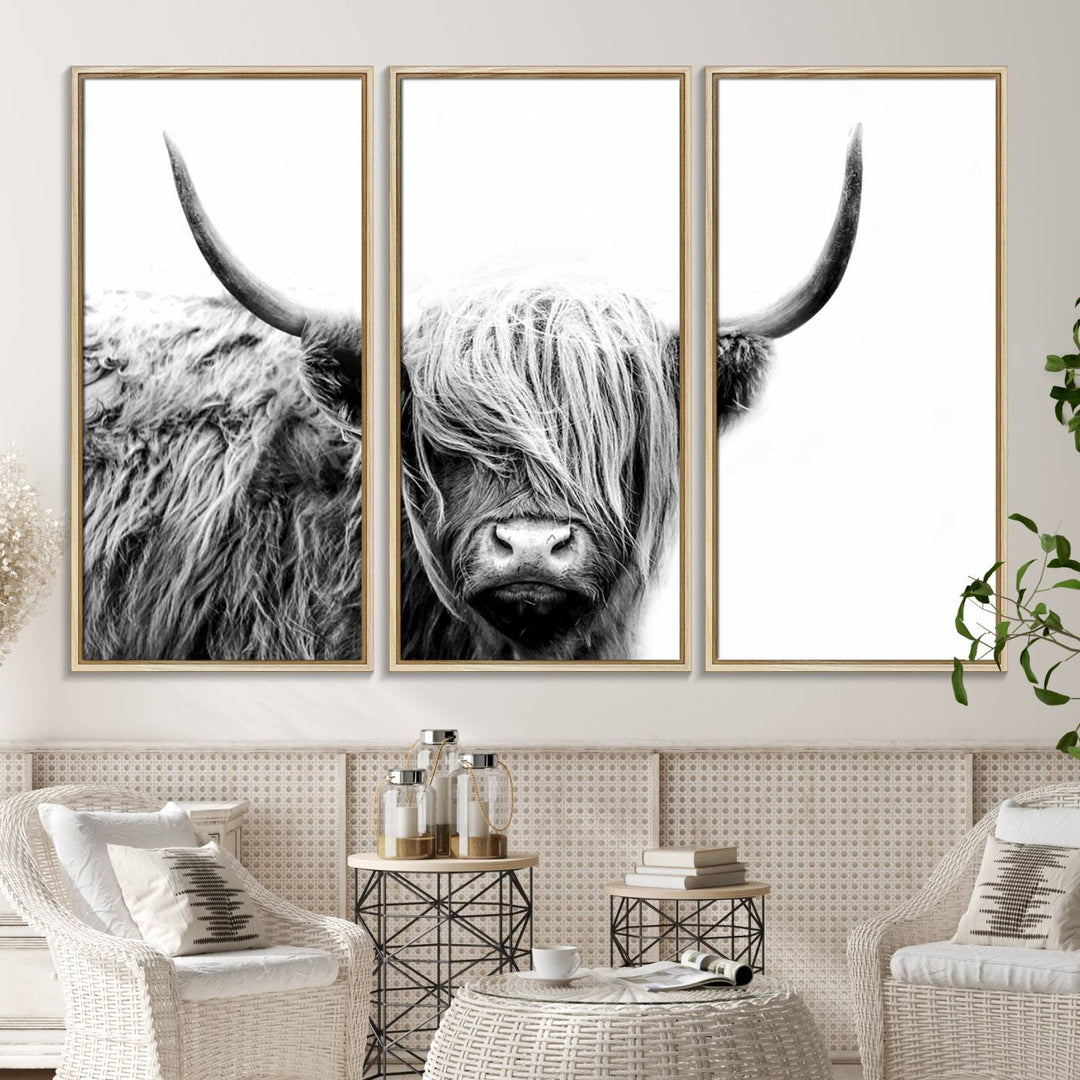 Framed Black and White Scottish Highland Cow Art Print.