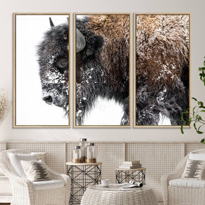 The American Bison Wall Art Print is prominently displayed on the wall.