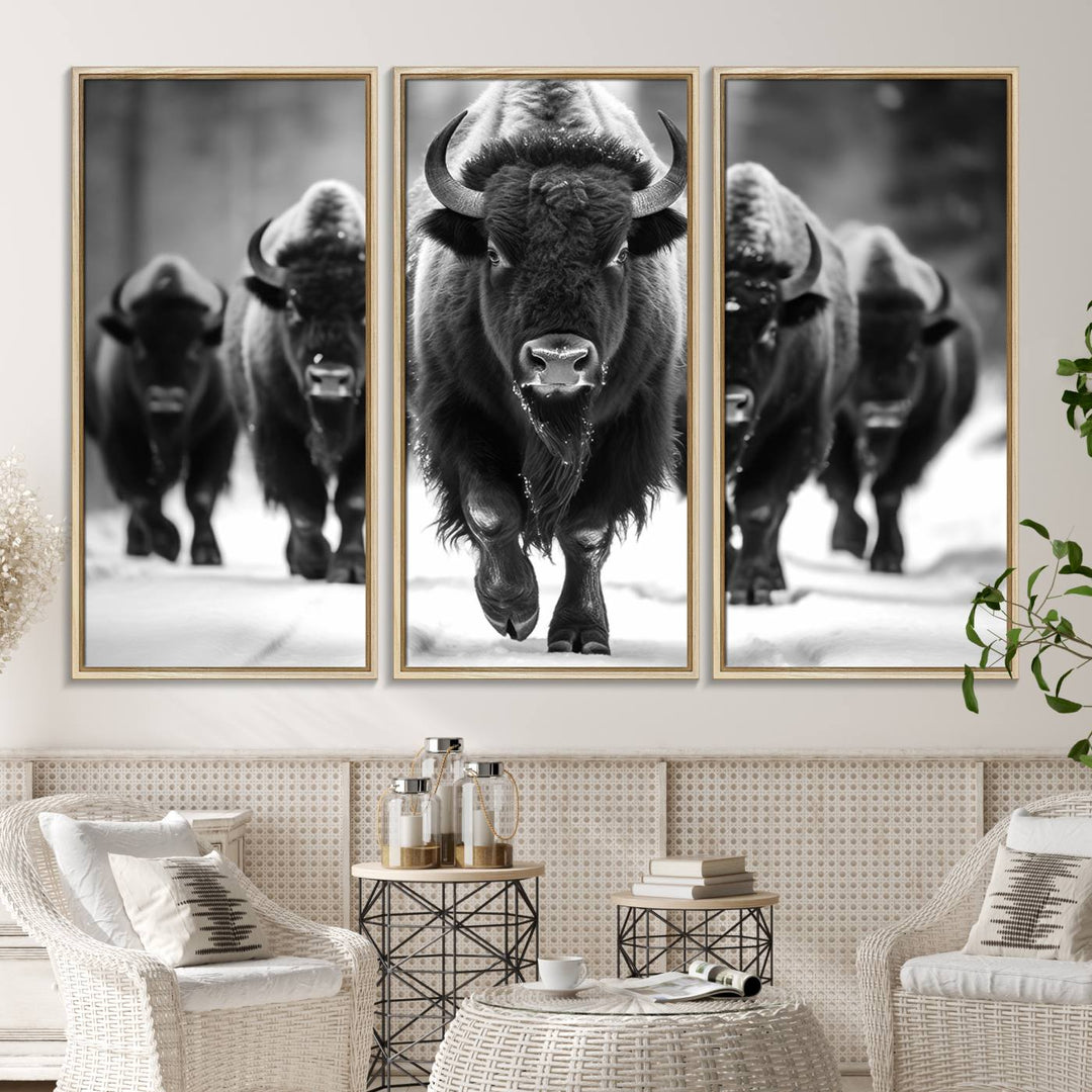 A black and white American Bison herd canvas print adorns the wall.