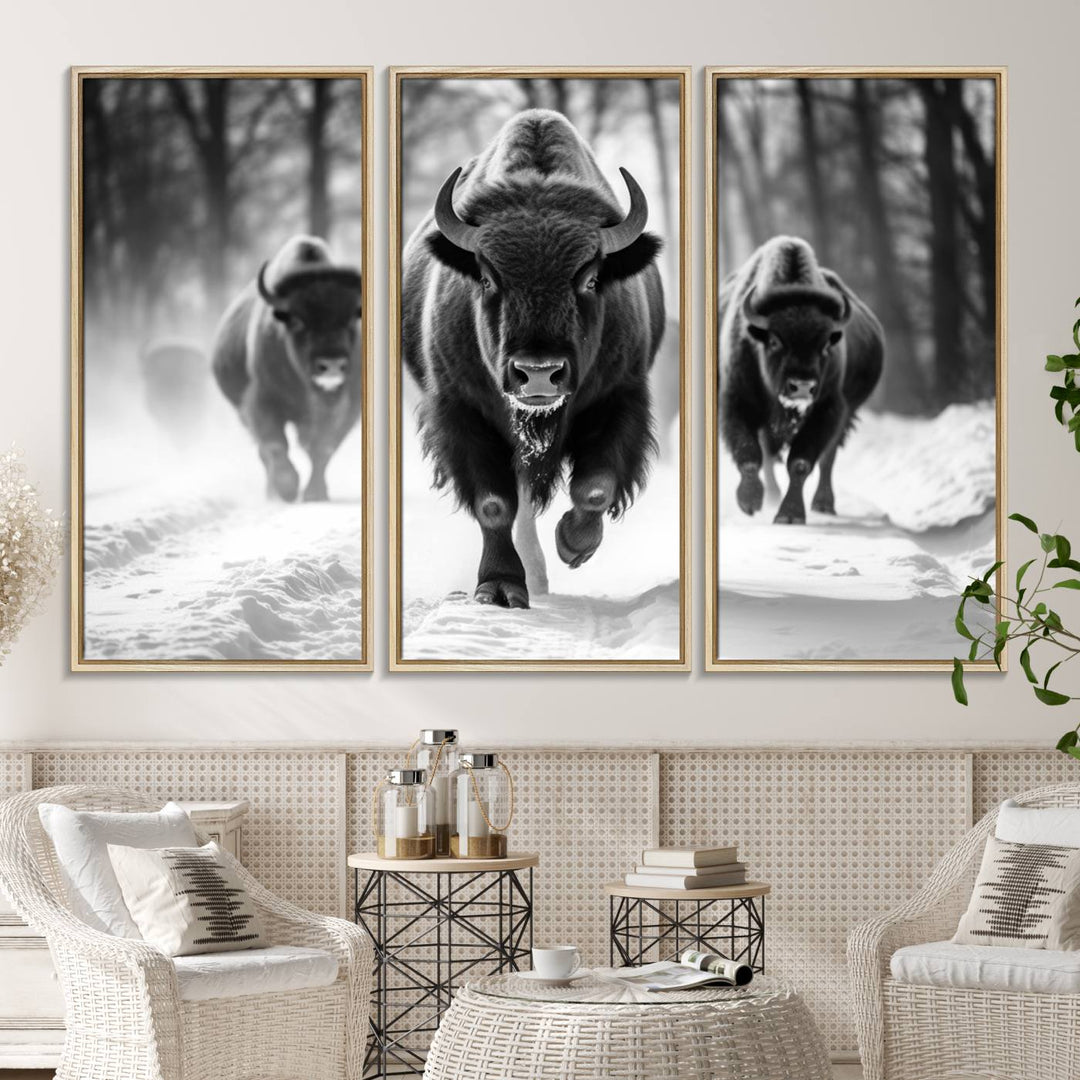 The Buffalo Wall Art Canvas Print of bison running through snow adorns the wall.