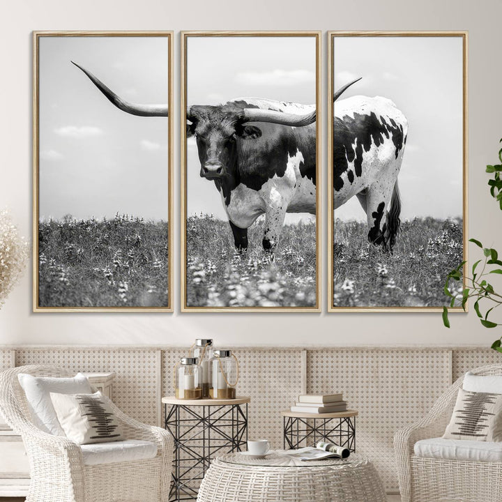 Texas Black White Highland Longhorn Cow Wall Art Canvas displayed on the wall.