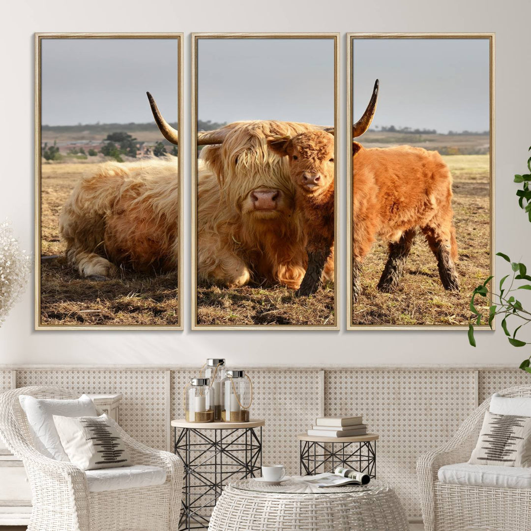 Highland Cow Canvas: a light brown cow and calf in the field, ideal farmhouse decor.