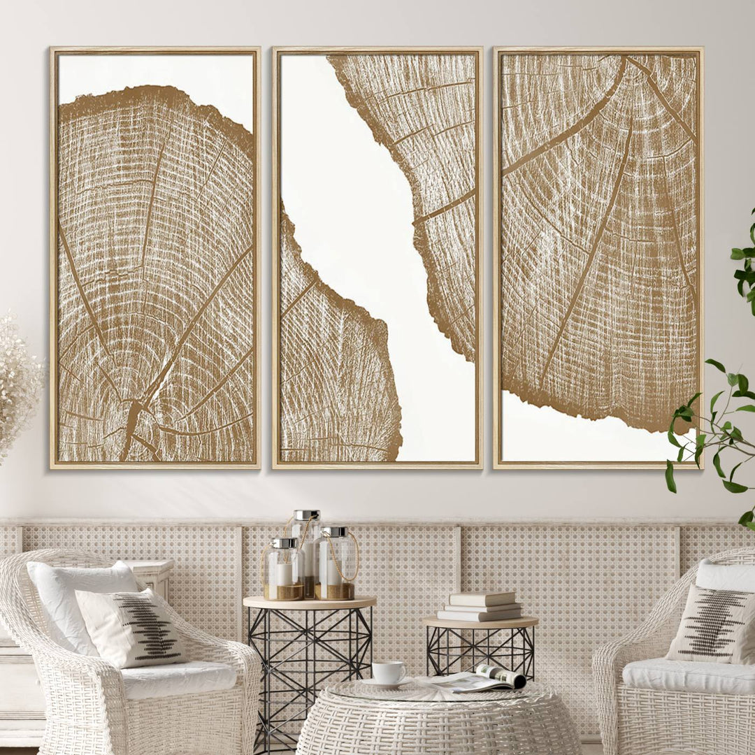 The rustic wall art features two large tree rings, beautifully framed and displayed to create a nature-inspired décor.