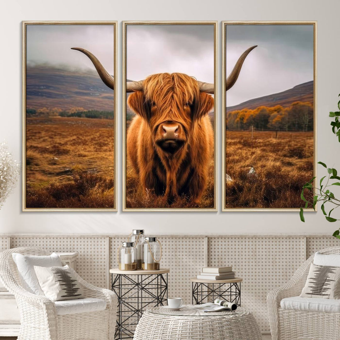 Highland Cow Longhorn Canvas Print, framed, on a wooden wall.