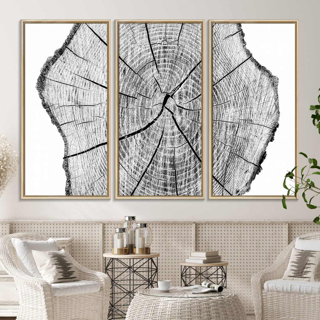 Black and white tree ring art print.