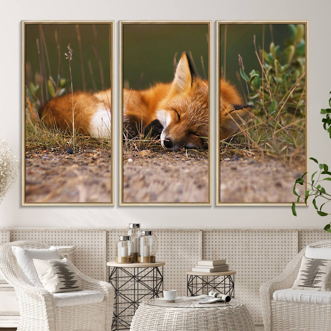 The Sleeping Fox Wall Art Canvas Print is ideal for farmhouse decor.