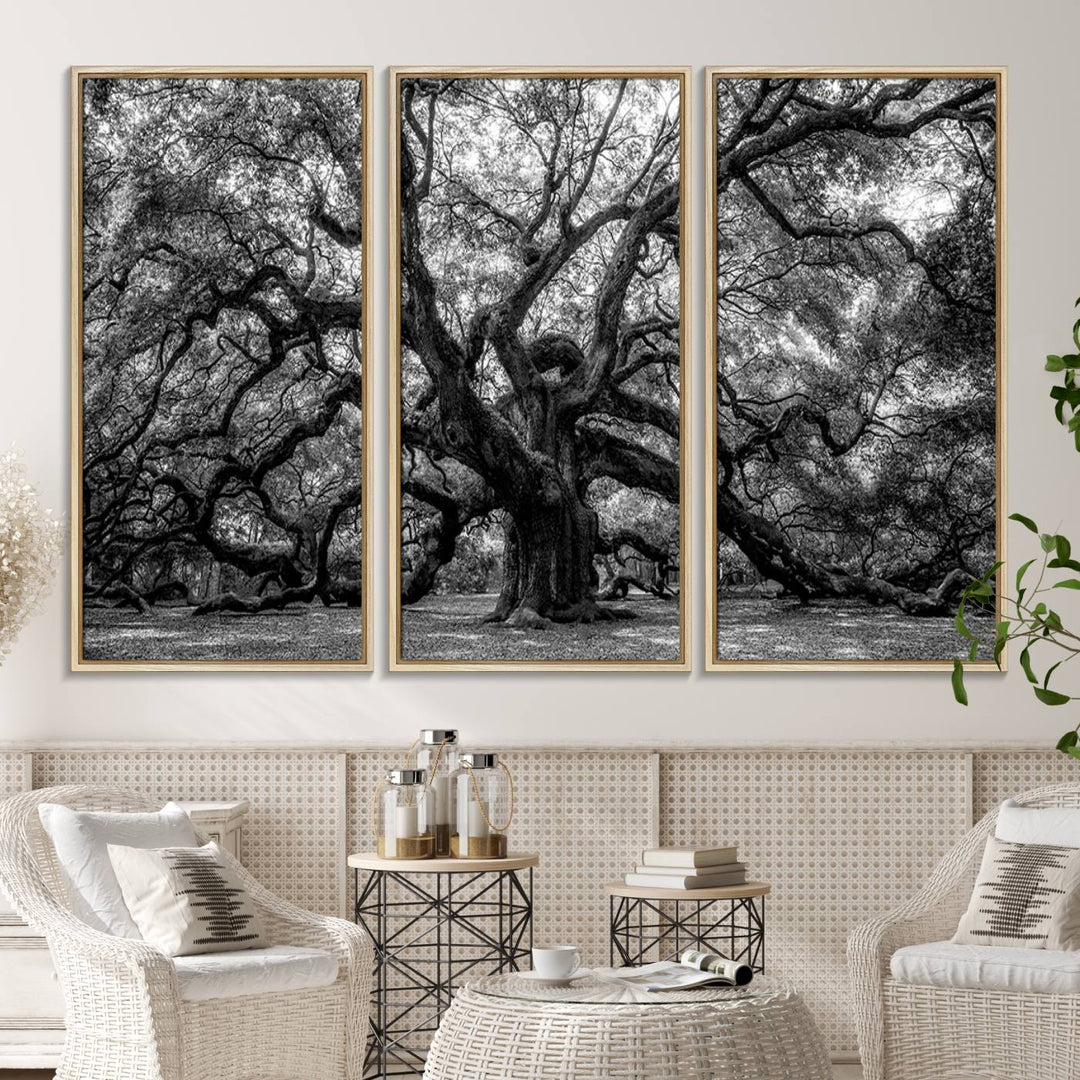 The Black and White Old Angel Oak Tree Canvas Print enhances the modern dining room.