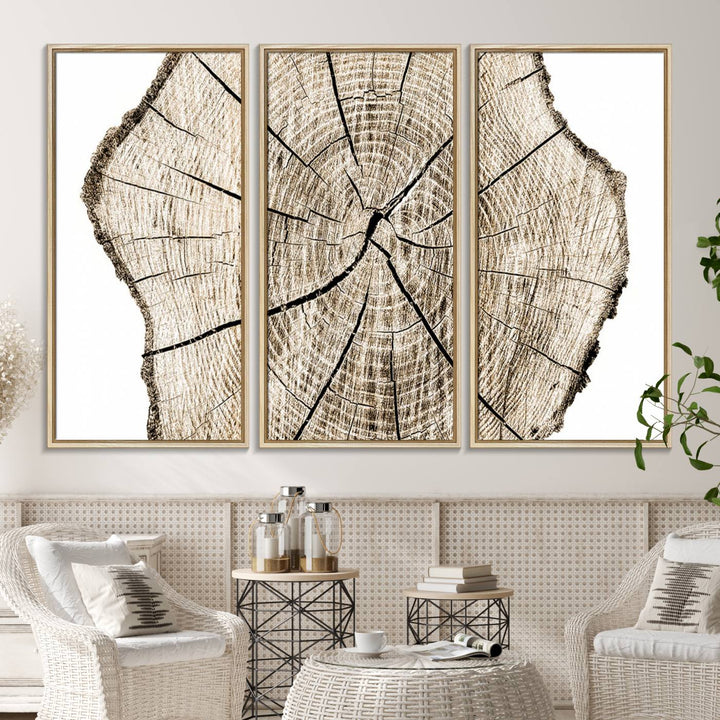 The Abstract Wood Tree Ring Wall Art set of 3 adds a minimalist touch to the space.