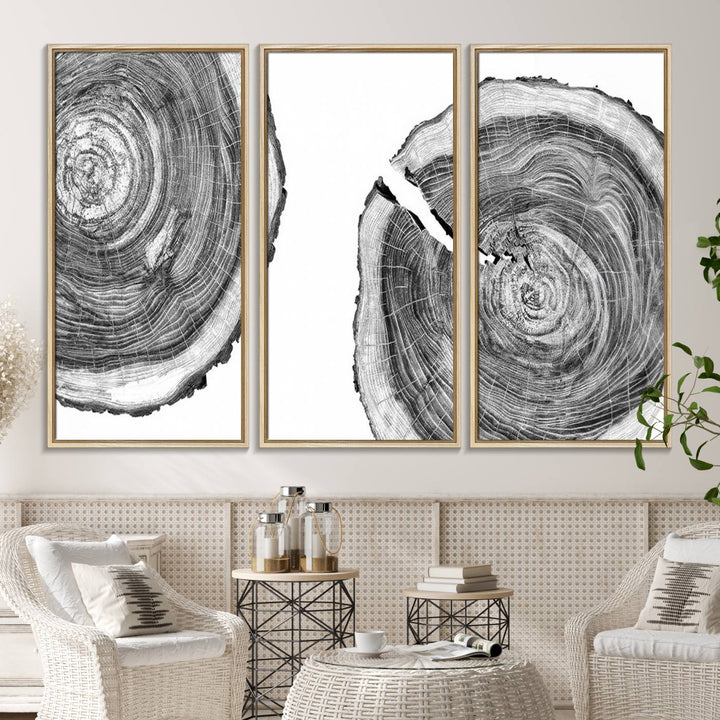 The modern black and white tree rings canvas art adds minimalist geometric decor with nature inspiration.