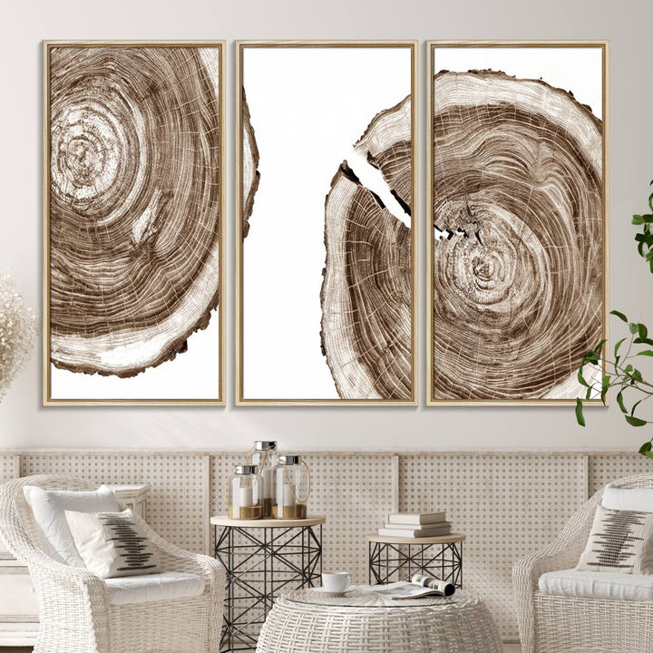 Wood Tree Ring Wall Art on a minimalist black and white canvas.