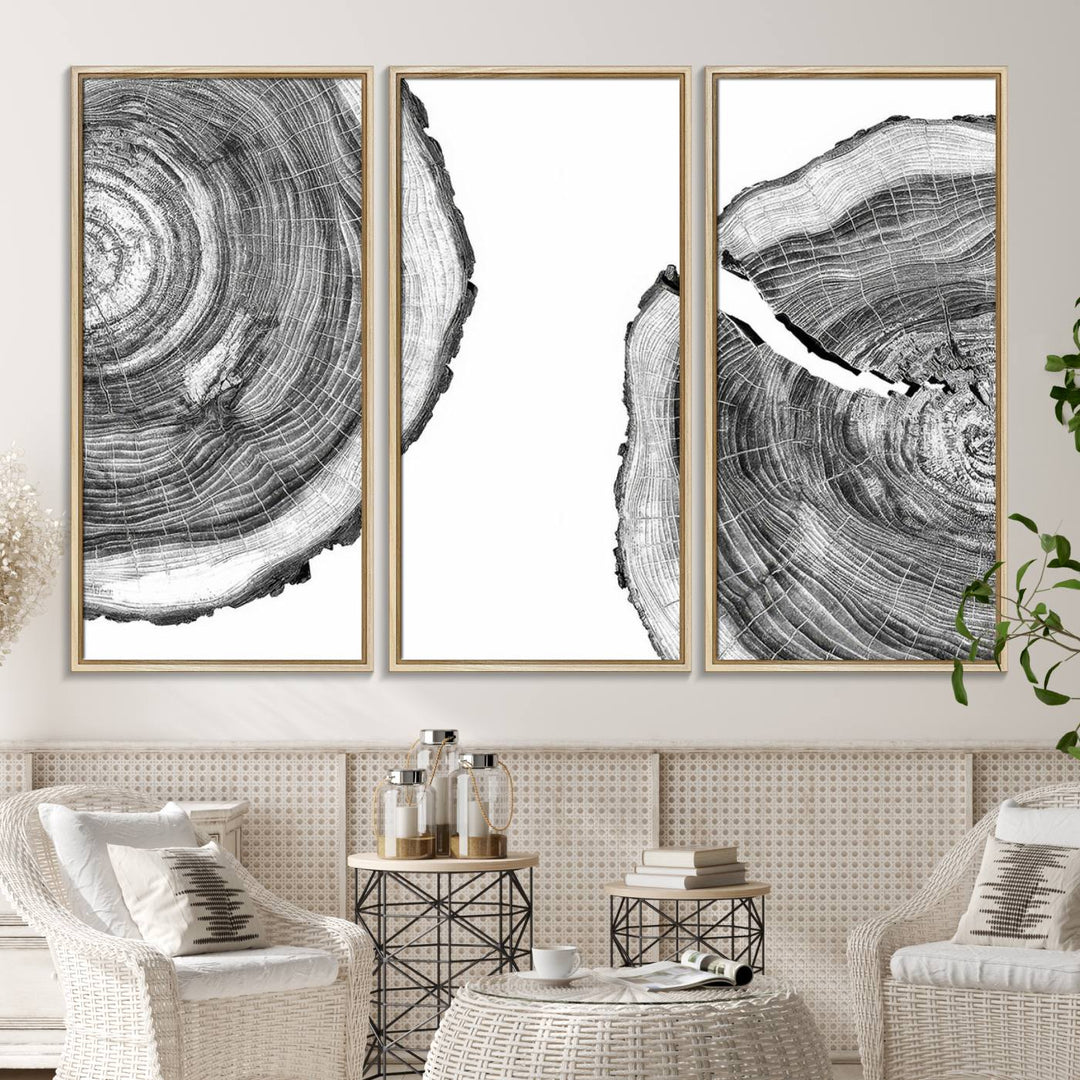 The minimalist art piece Abstract Large Tree Rings on canvas creates a striking focal point.