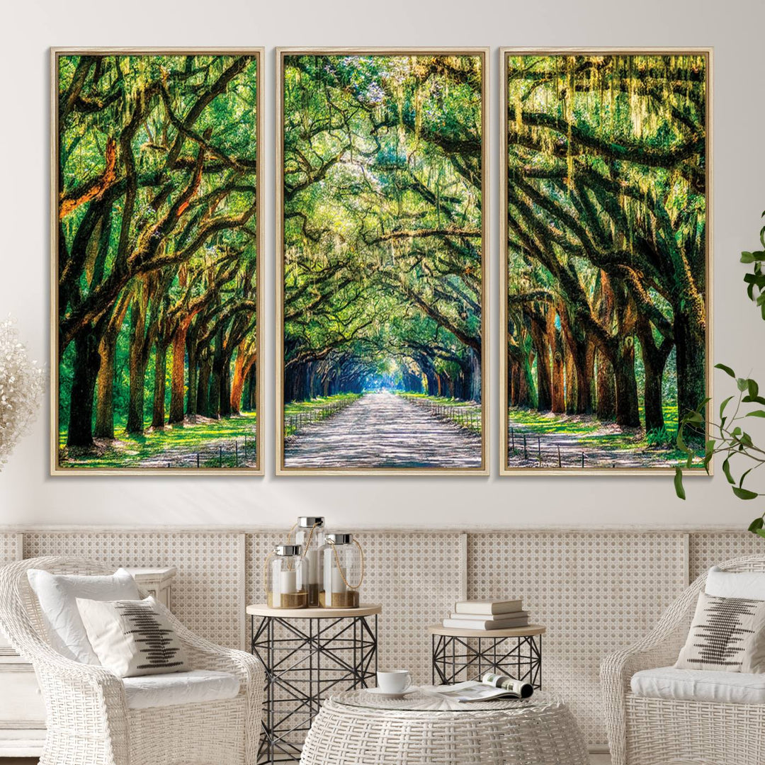 The Serene Tree Tunnel Canvas Print decorates the wall.