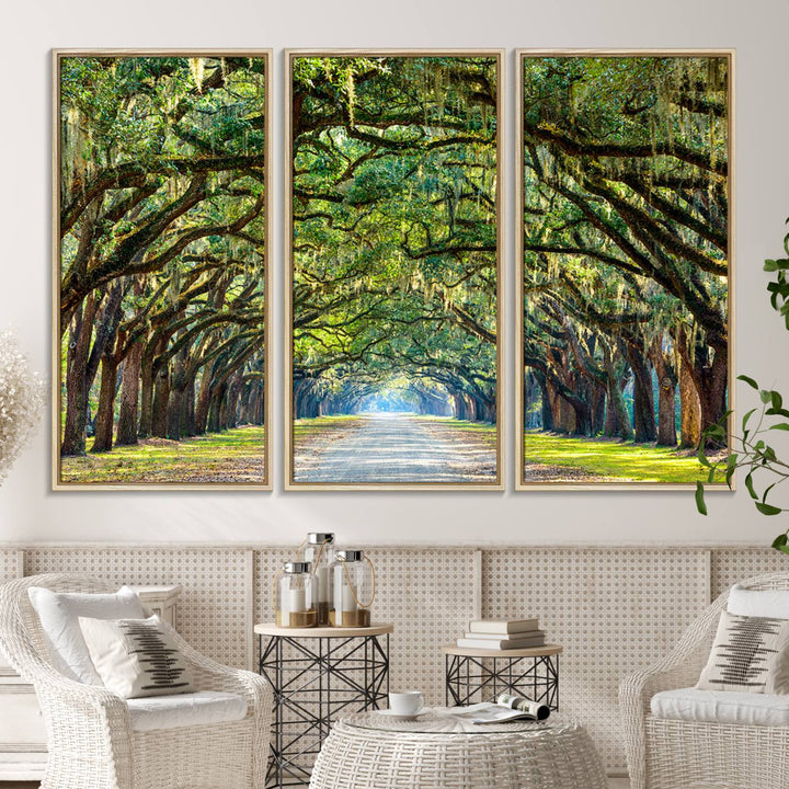 Wormsloe State Plantation Driveway Wall Art shines with Southern charm.