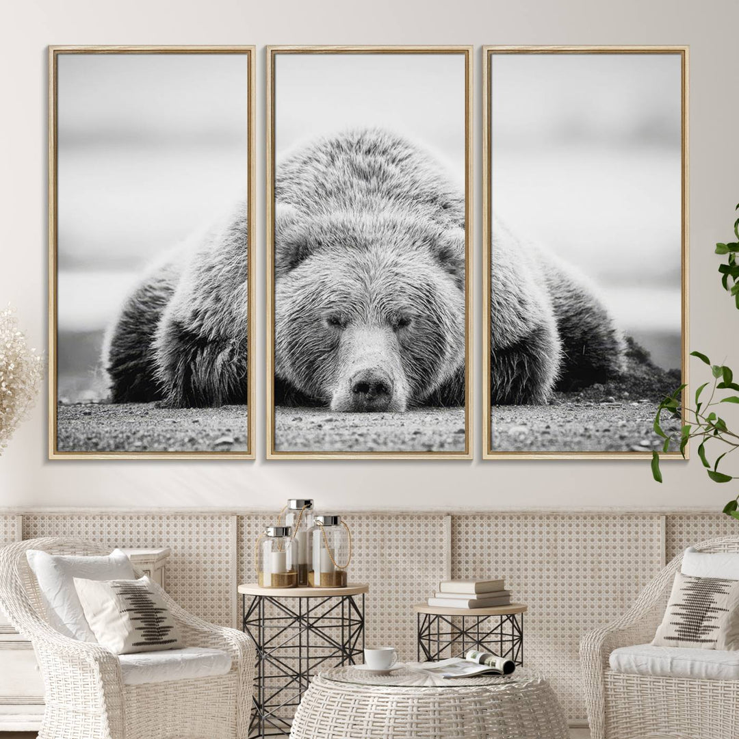 Resting Grizzly Bear wall art displayed in a modern room.