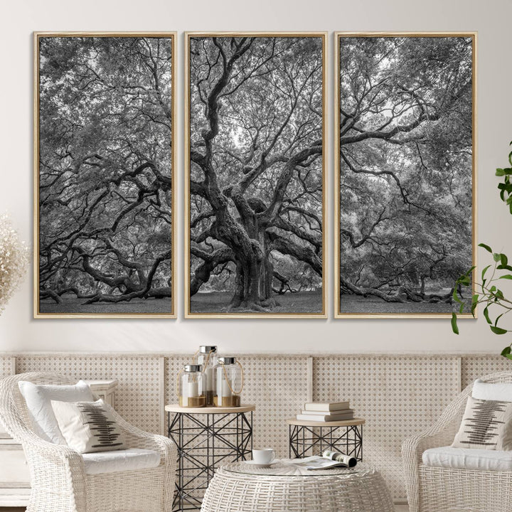 The Majestic Angel Oak Tree canvas print enhances minimalistic decor with its nature photography.