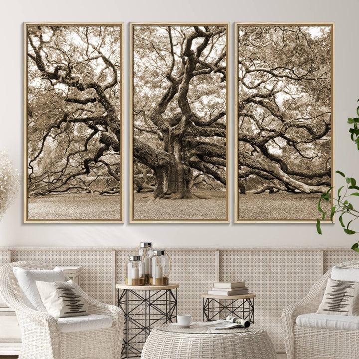 Displayed on the wall is a Sepia-framed Angel Oak Tree 3-panel canvas.