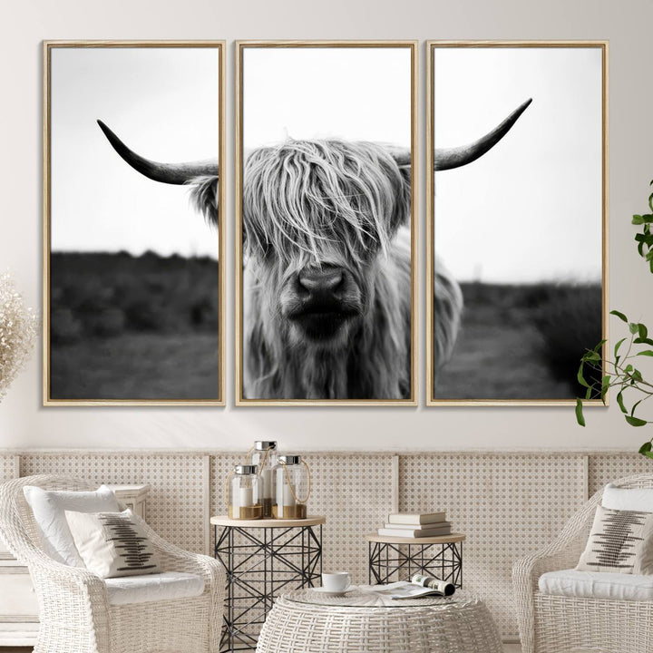 The Highland Cow Wall Art, a black and white farmhouse decor piece showcased as a triptych canvas print, graces a dark wall with its long-haired Scottish Highland cattle art print exuding rustic barn aesthetic.