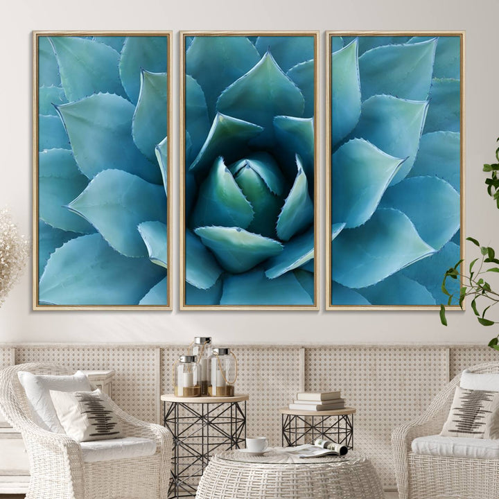 The Large Agave Succulent Canvas Wall Art is displayed on the wall.